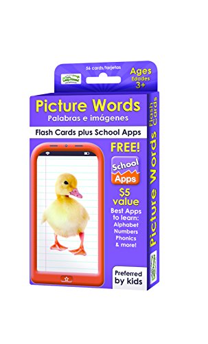 Picture Words Flash Cards (Let's Leap Ahead)