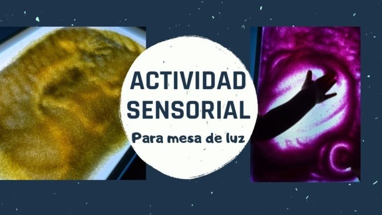 actividad sensorial