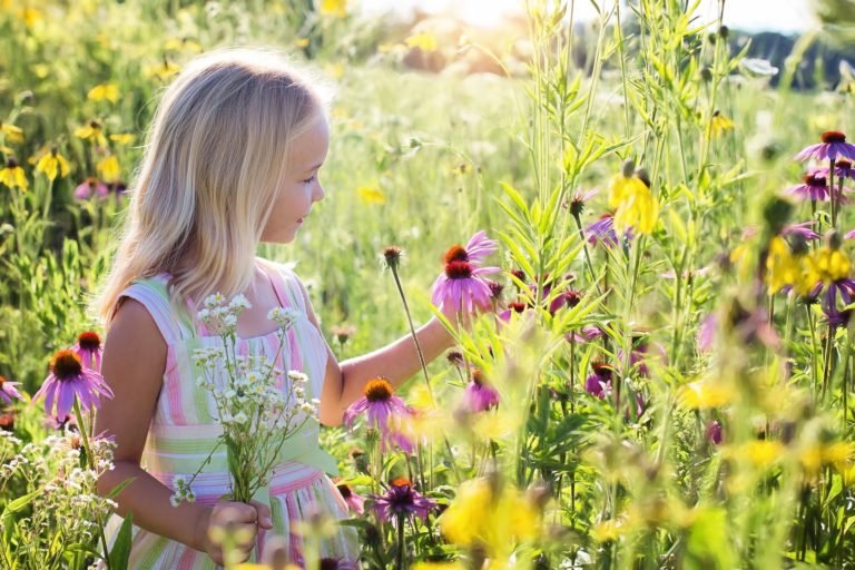 Niña en campo tocando flor